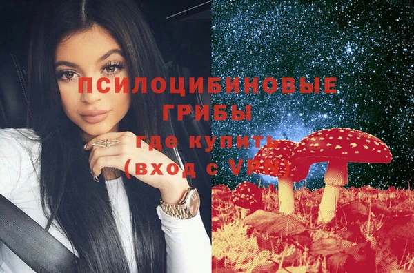 спайс Алзамай