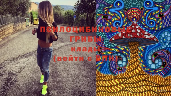 мяу мяу мука Алексеевка