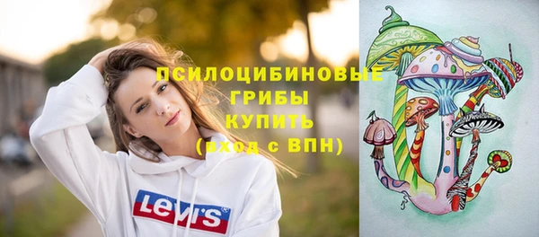 спайс Алзамай