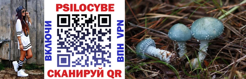 Псилоцибиновые грибы Psilocybine cubensis  Орлов 