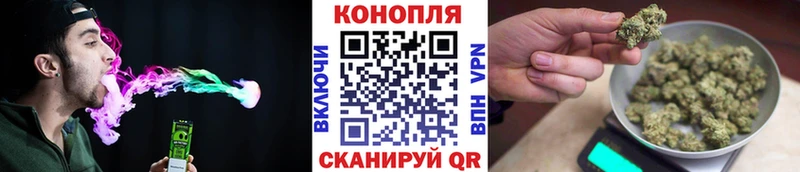 цена   Орлов  мега tor  Бошки Шишки сатива 